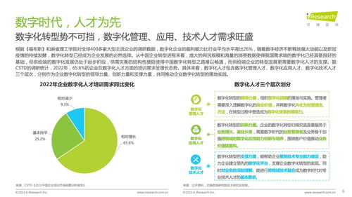 艾瑞咨询 2022年企业数字化人才发展白皮书 